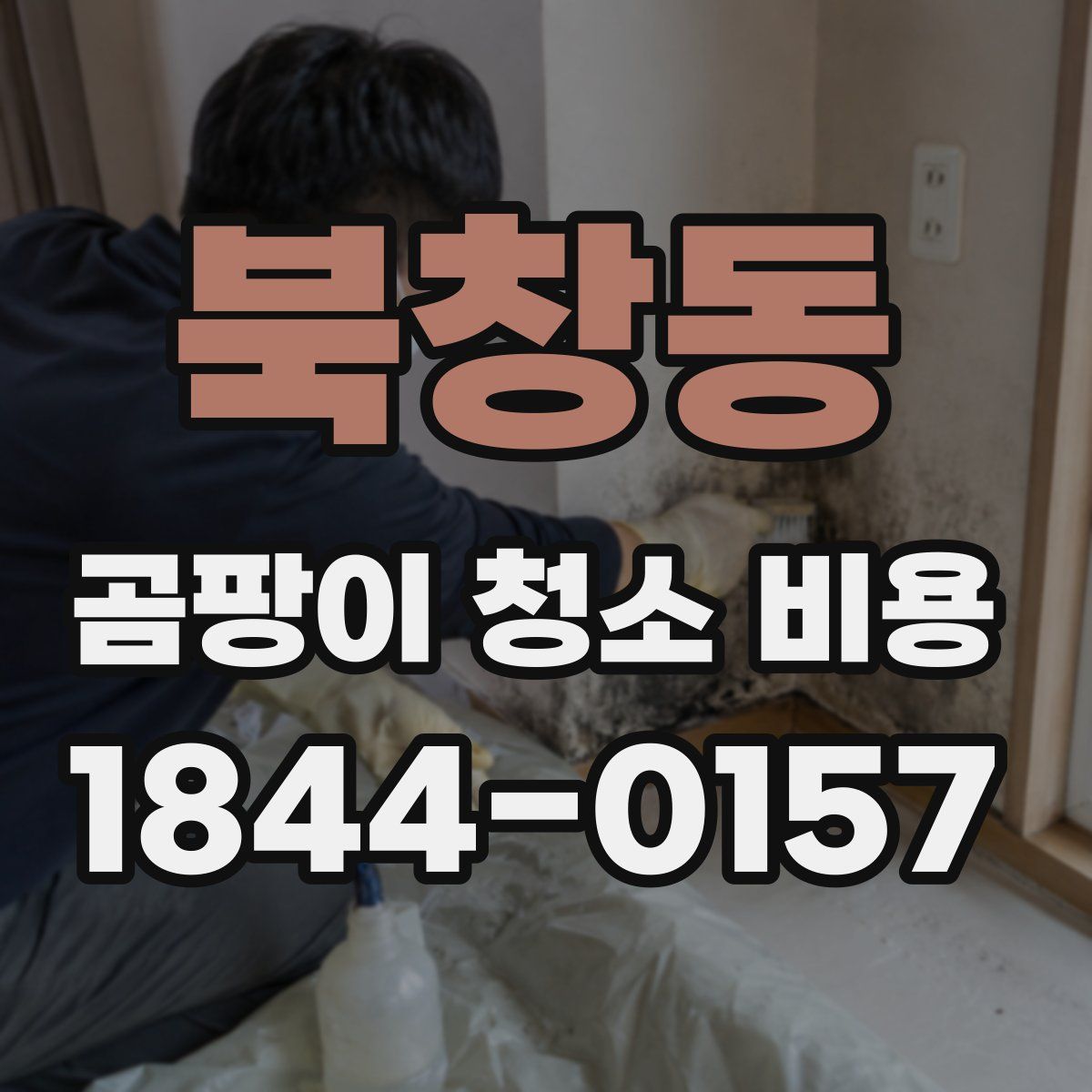 북창동 곰팡이 청소 비용