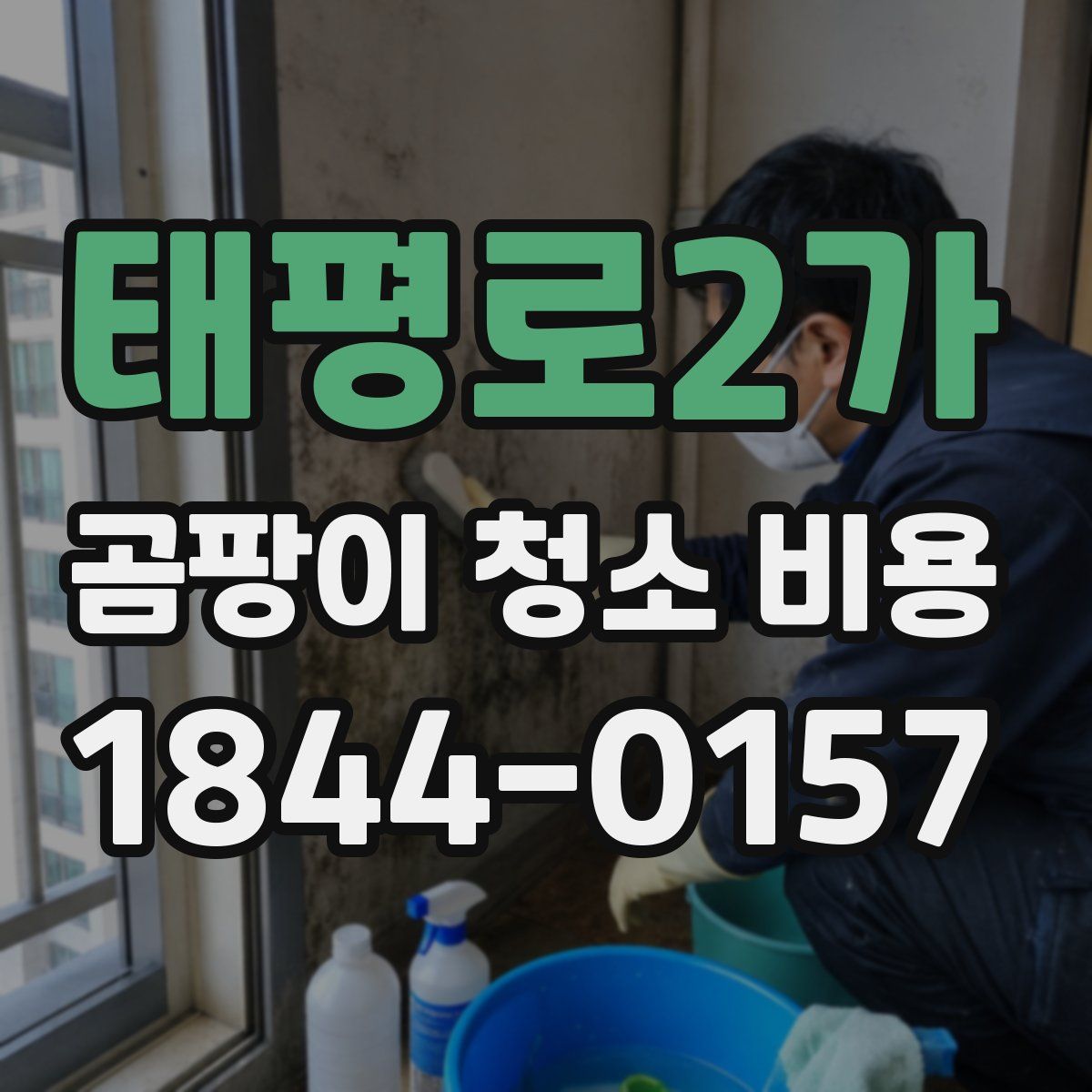 태평로2가 곰팡이 청소 비용