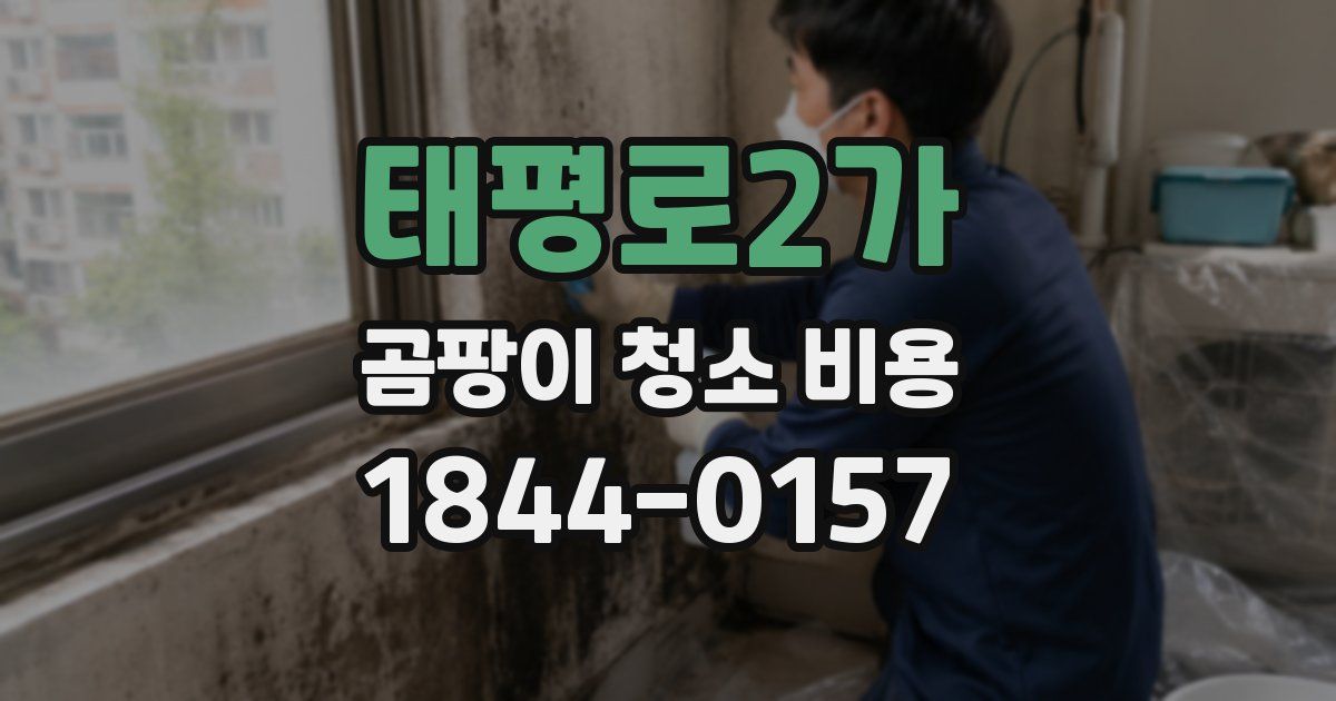 태평로2가 곰팡이 청소 비용