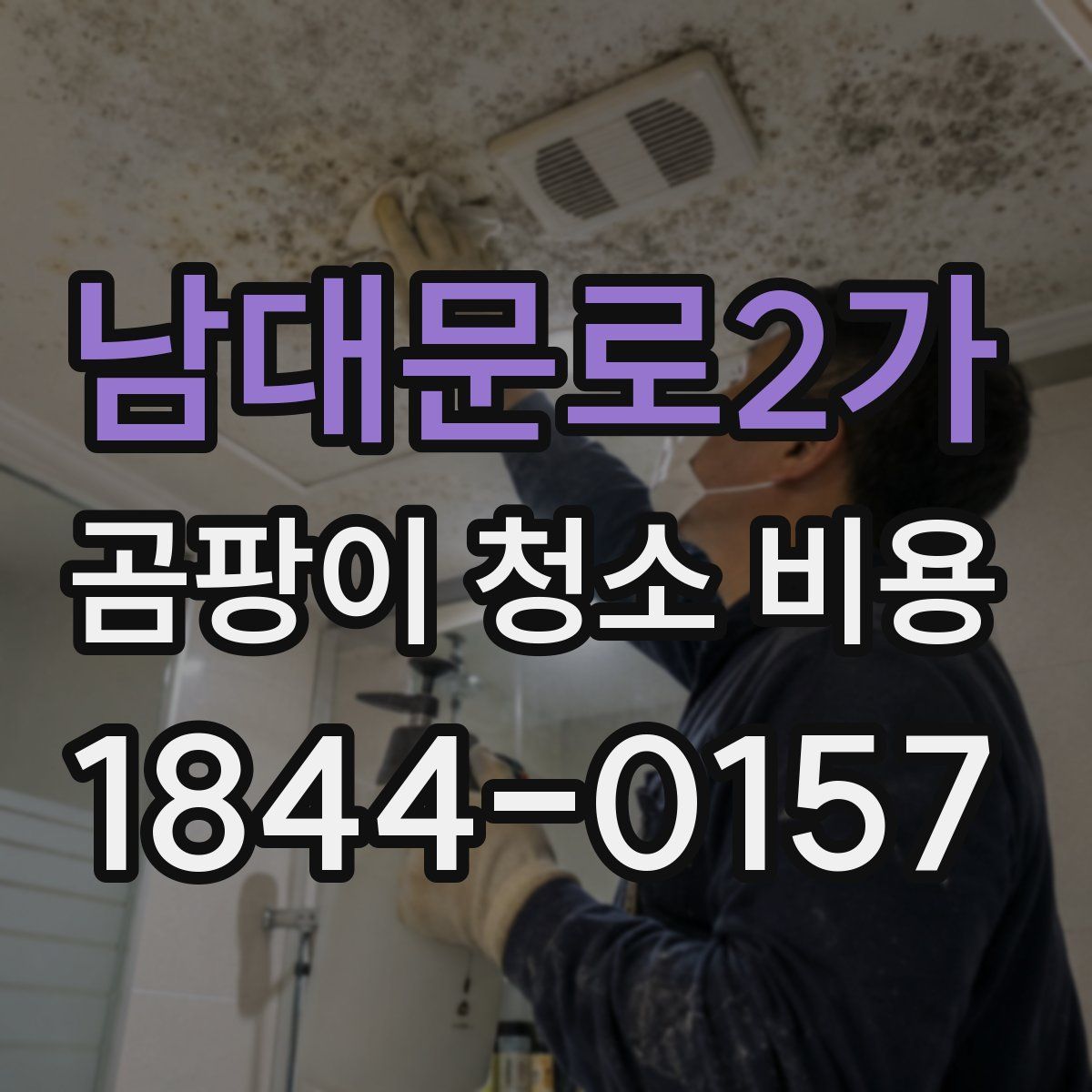 남대문로2가 곰팡이 청소 비용