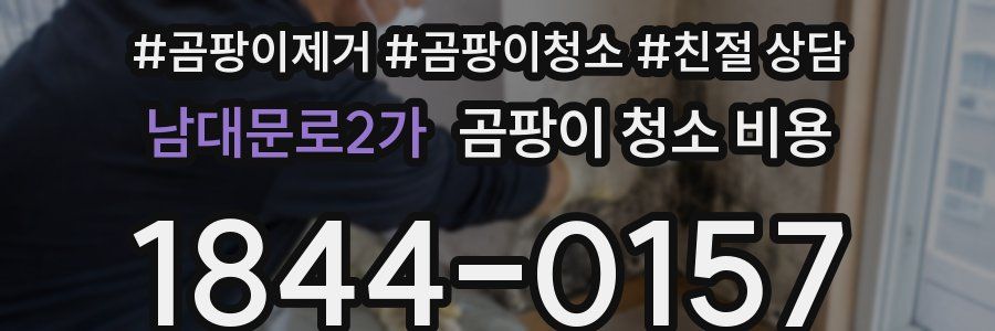 남대문로2가 곰팡이 청소 비용