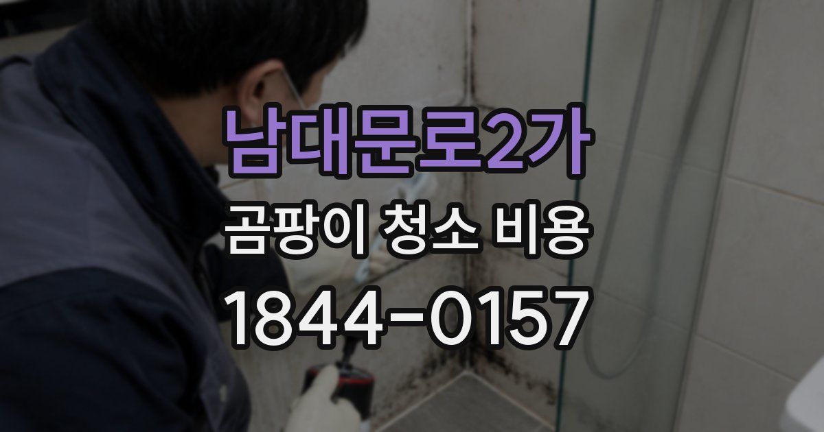 남대문로2가 곰팡이 청소 비용
