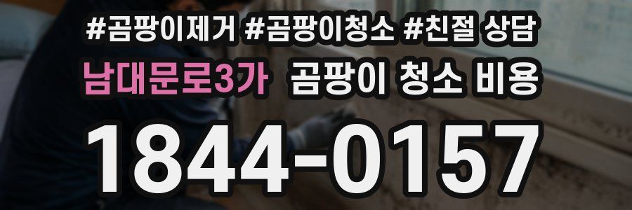 남대문로3가 곰팡이 청소 비용