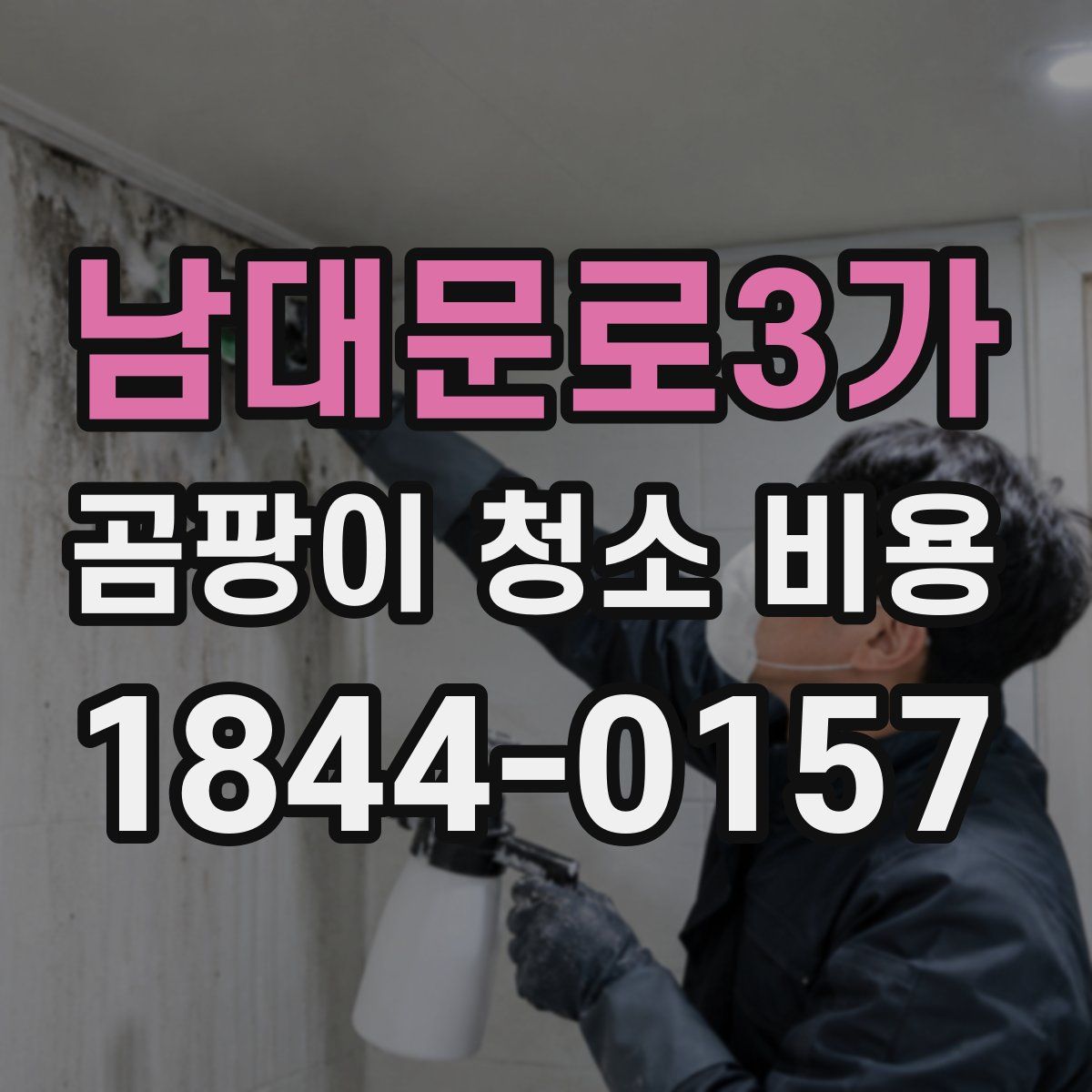 남대문로3가 곰팡이 청소 비용