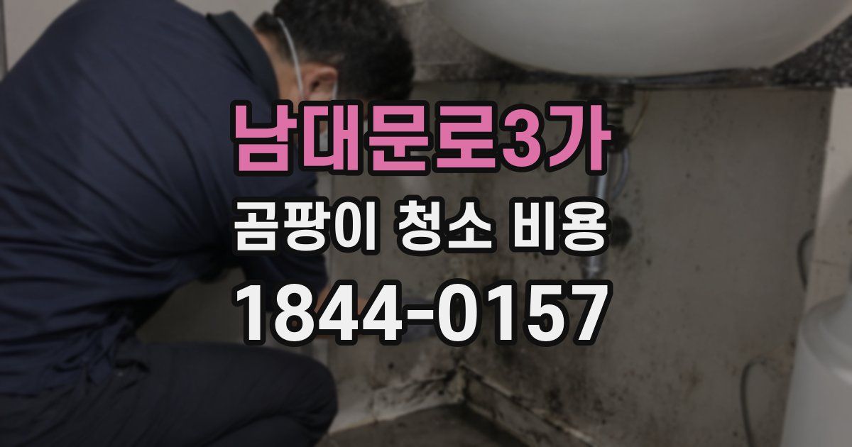 남대문로3가 곰팡이 청소 비용