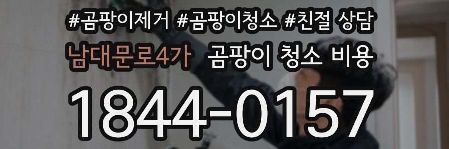 남대문로4가 곰팡이 청소 비용