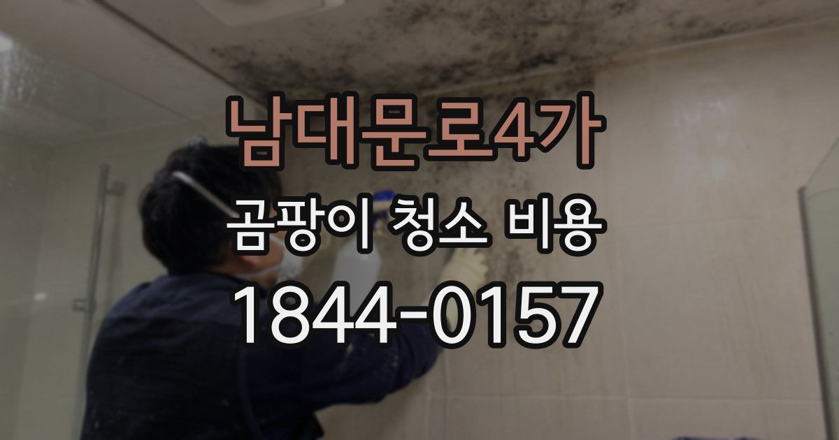 남대문로4가 곰팡이 청소 비용