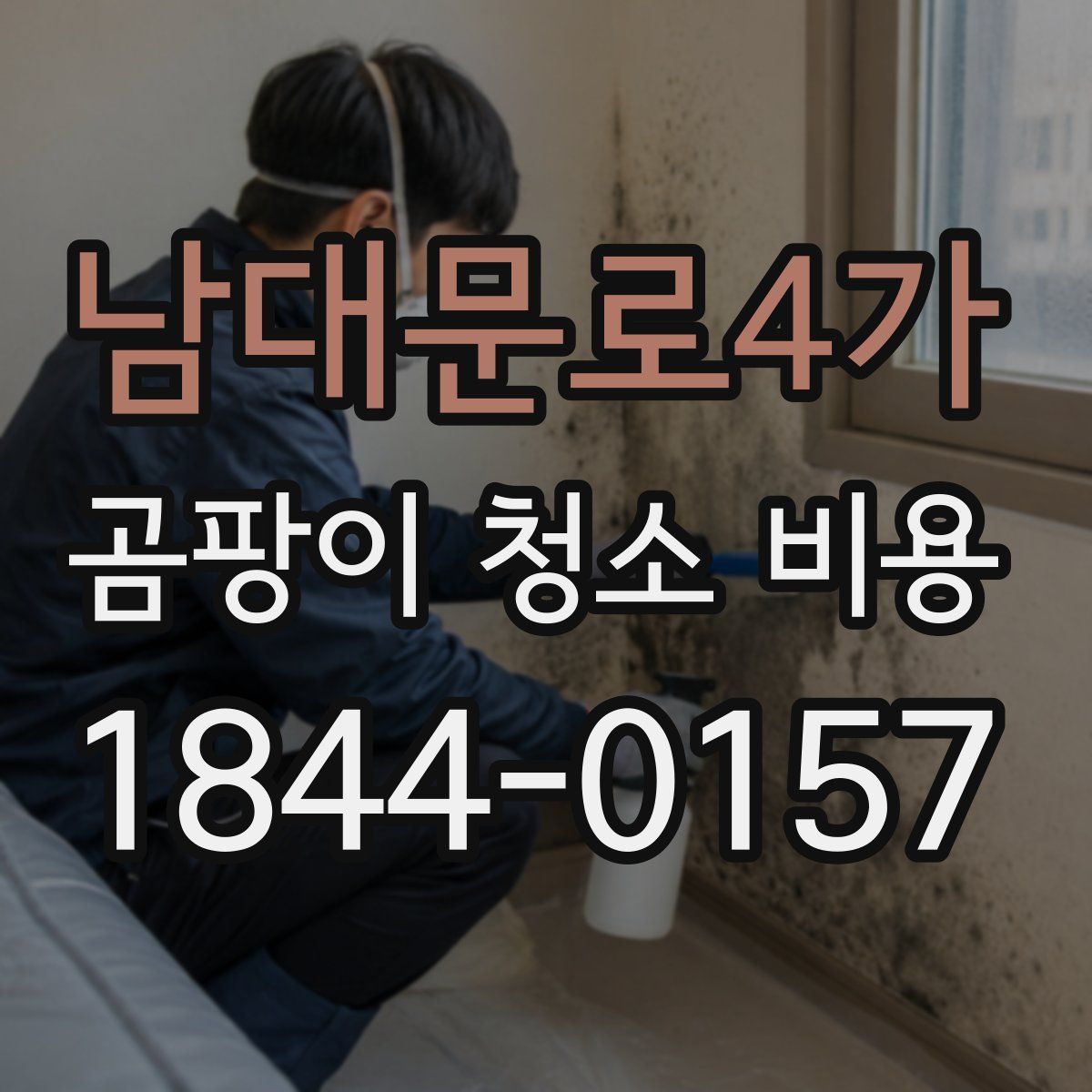 남대문로4가 곰팡이 청소 비용