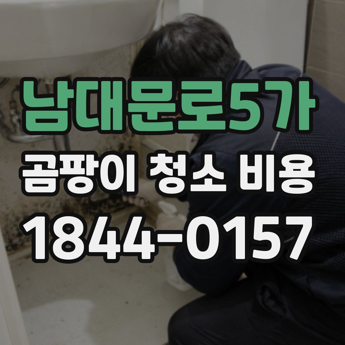 남대문로5가 곰팡이 청소 비용
