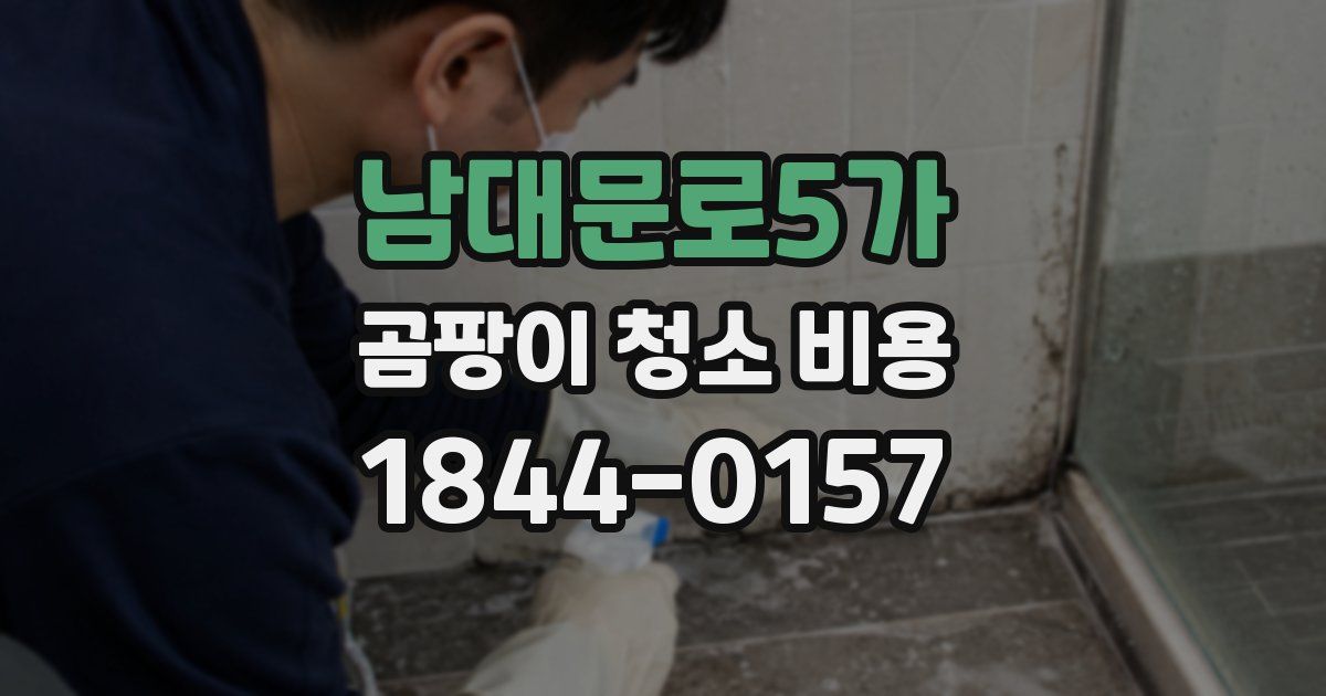 남대문로5가 곰팡이 청소 비용