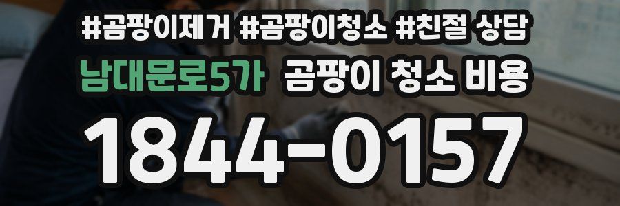 남대문로5가 곰팡이 청소 비용