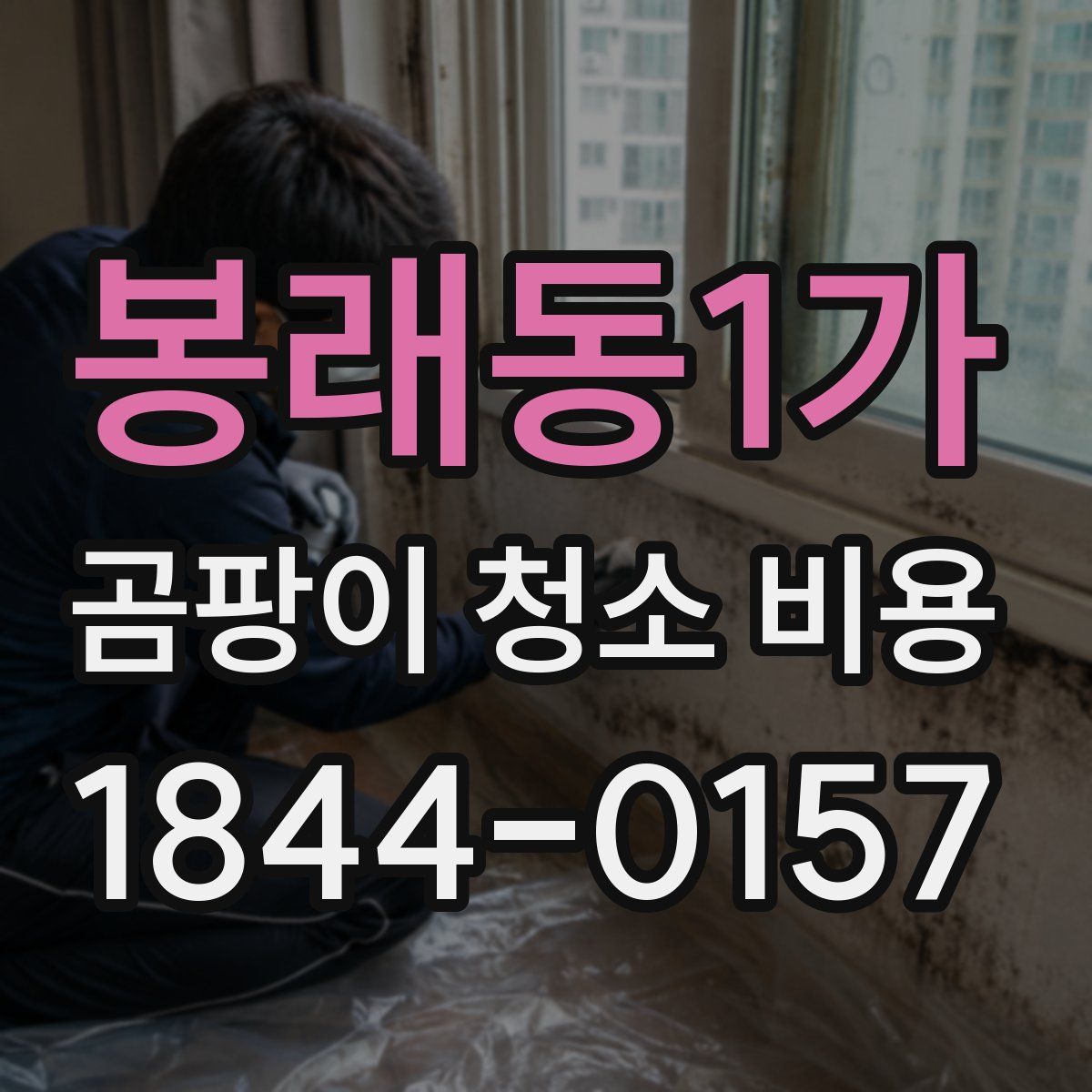봉래동1가 곰팡이 청소 비용
