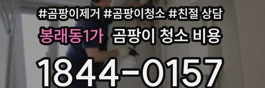 봉래동1가 곰팡이 청소 비용