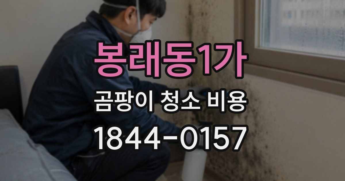 봉래동1가 곰팡이 청소 비용