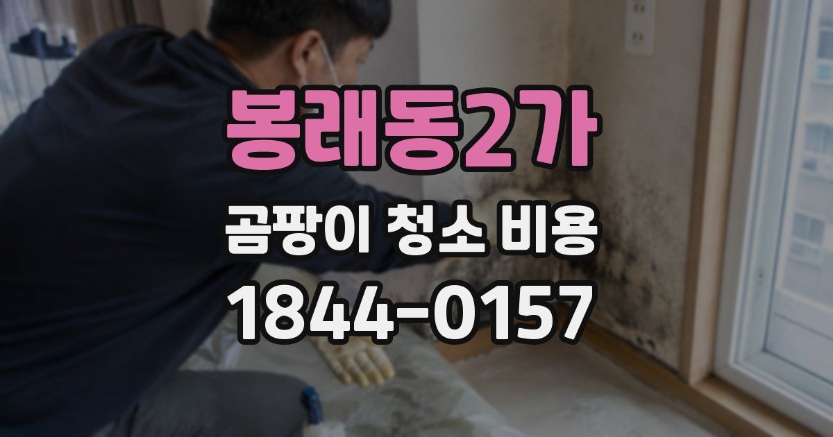 봉래동2가 곰팡이 청소 비용