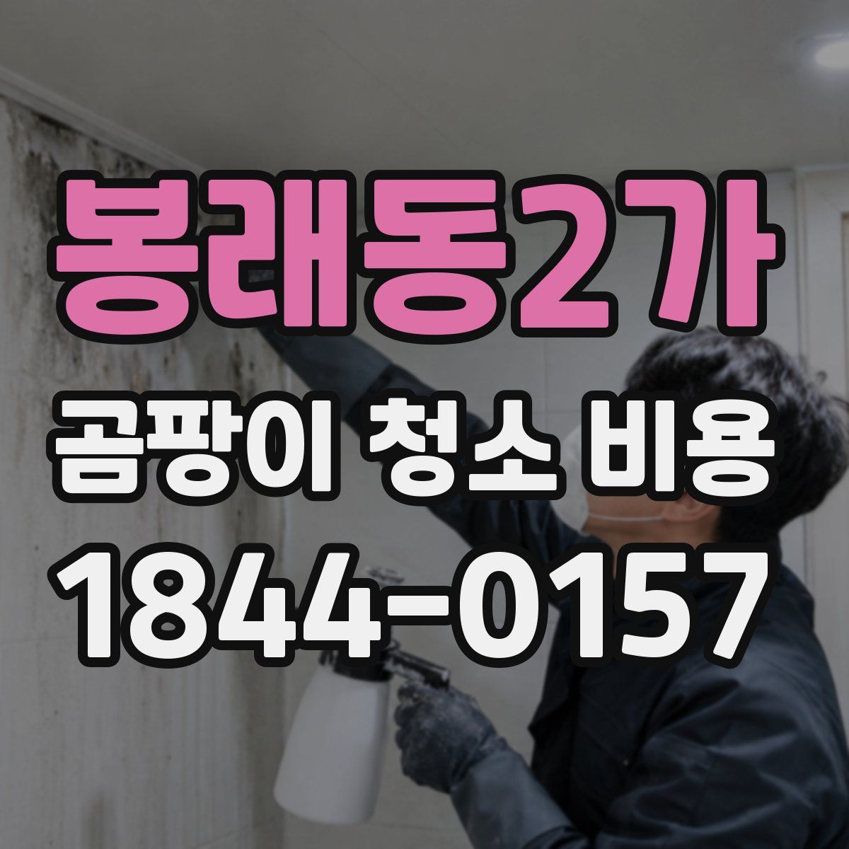 봉래동2가 곰팡이 청소 비용