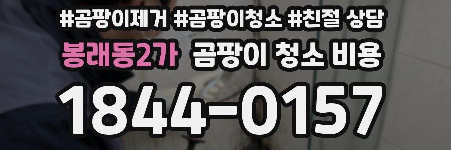 봉래동2가 곰팡이 청소 비용