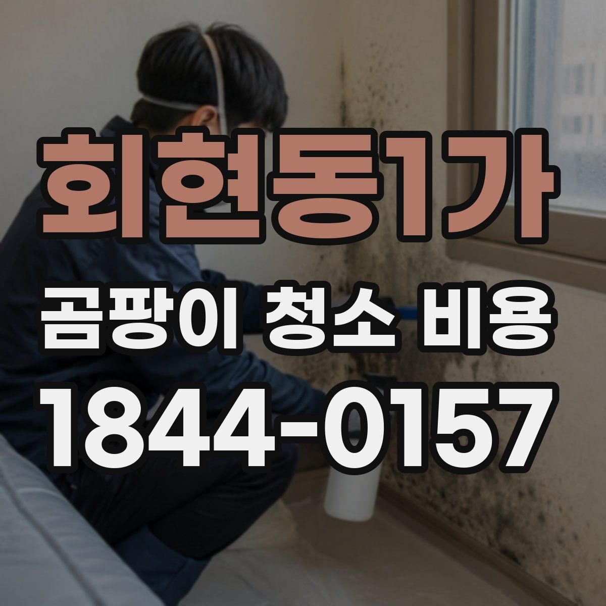 회현동1가 곰팡이 청소 비용