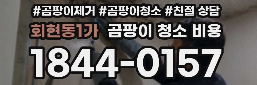 회현동1가 곰팡이 청소 비용