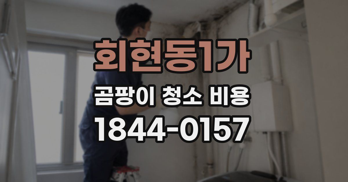 회현동1가 곰팡이 청소 비용