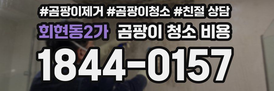 회현동2가 곰팡이 청소 비용