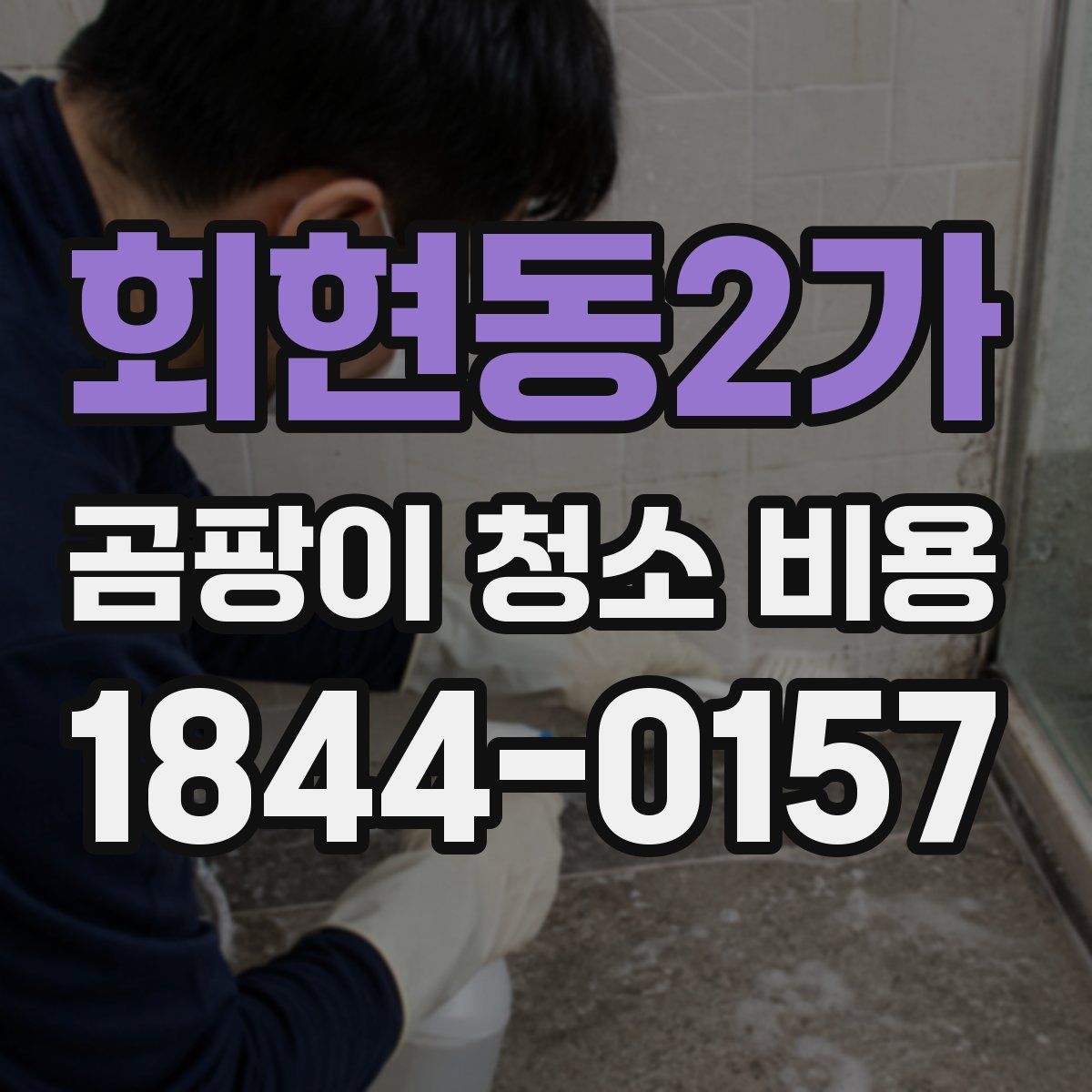 회현동2가 곰팡이 청소 비용