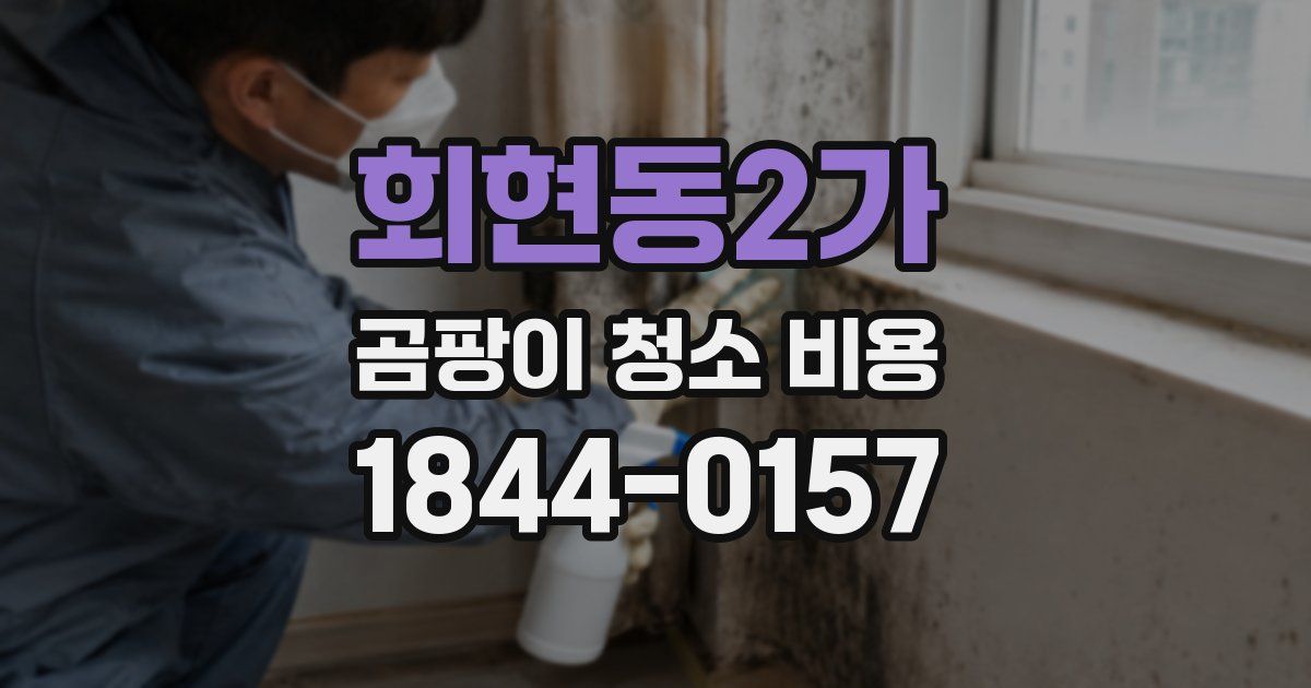 회현동2가 곰팡이 청소 비용