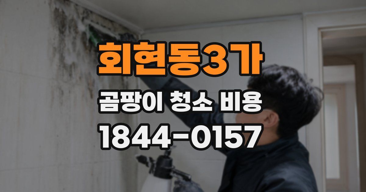 회현동3가 곰팡이 청소 비용