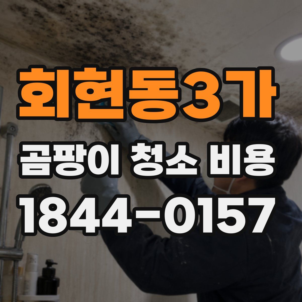 회현동3가 곰팡이 청소 비용