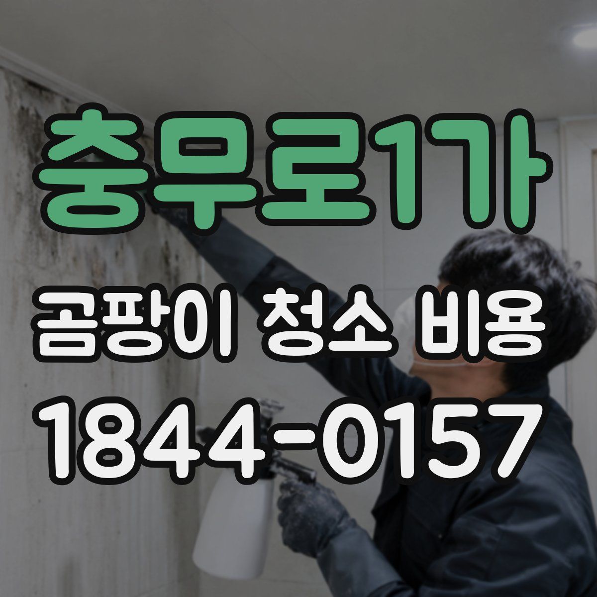충무로1가 곰팡이 청소 비용