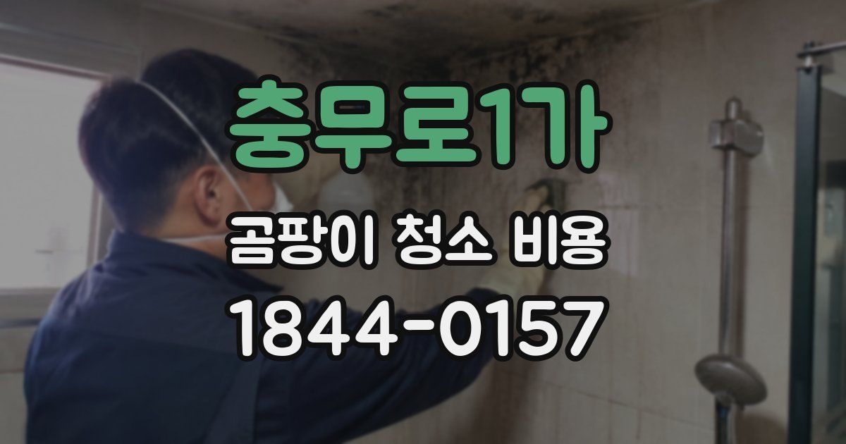 충무로1가 곰팡이 청소 비용