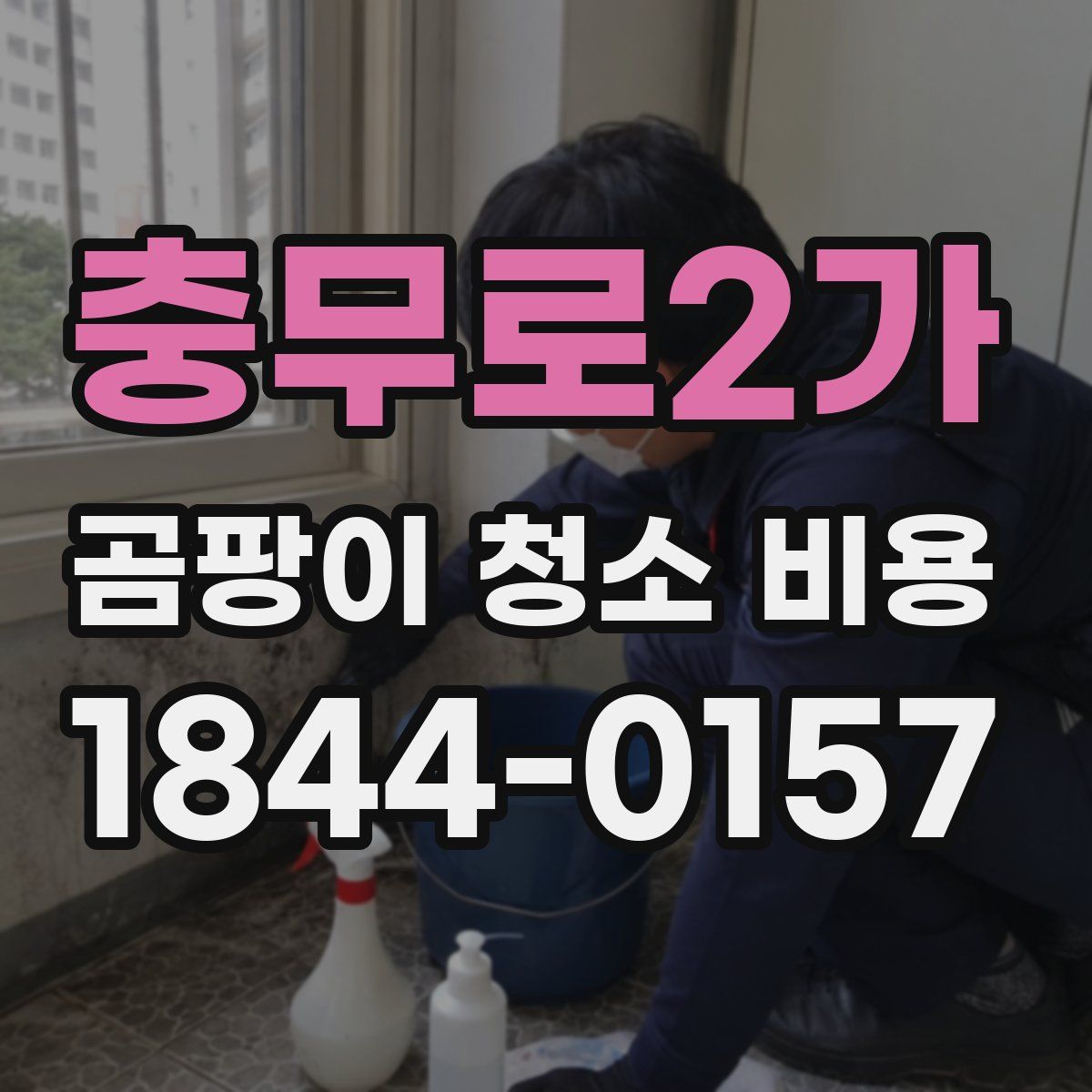충무로2가 곰팡이 청소 비용