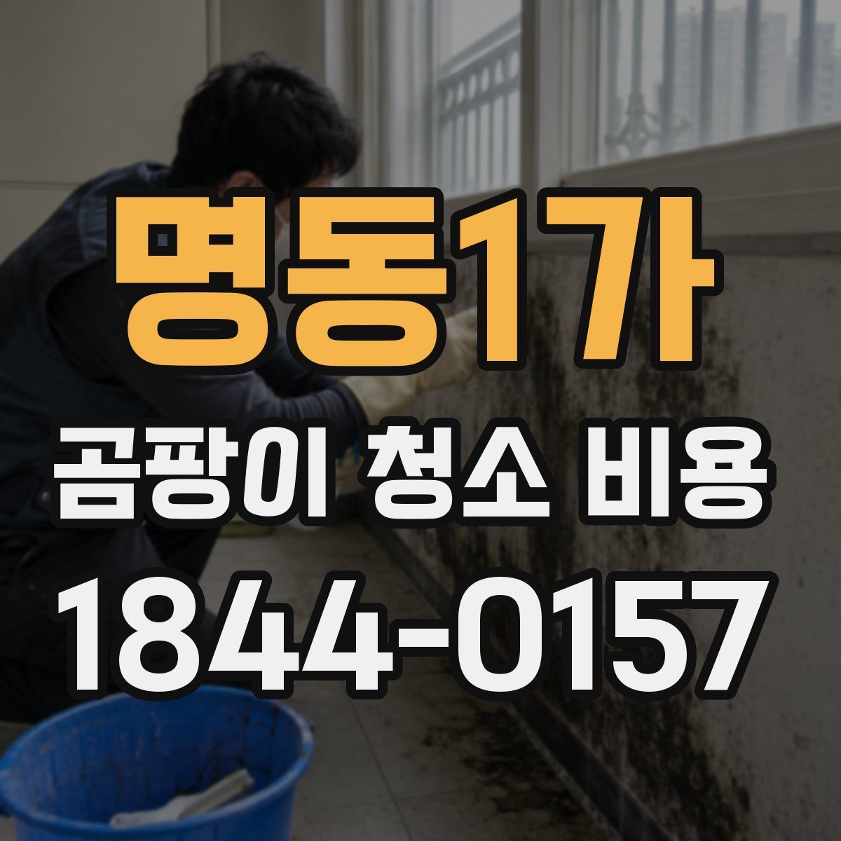 명동1가 곰팡이 청소 비용