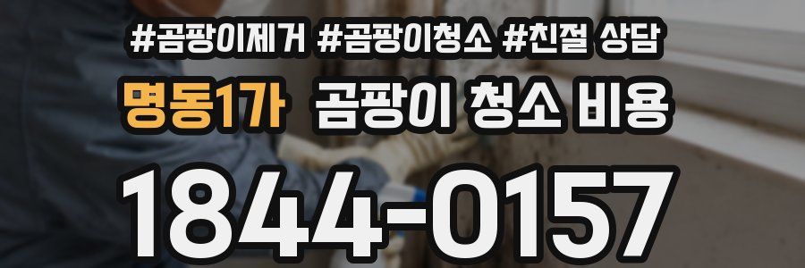 명동1가 곰팡이 청소 비용