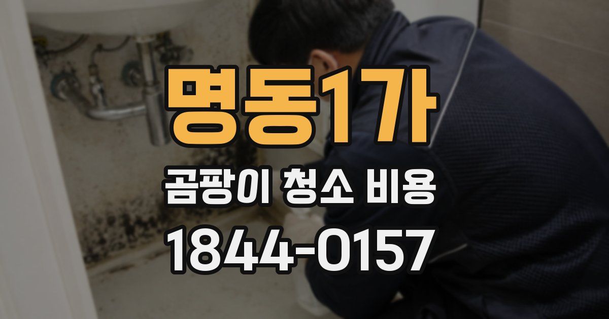 명동1가 곰팡이 청소 비용