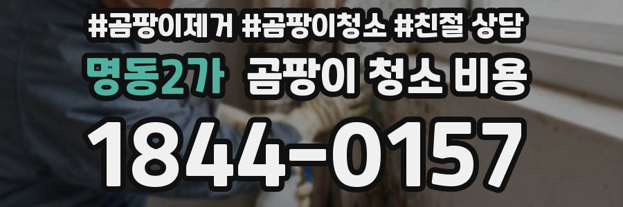 명동2가 곰팡이 청소 비용