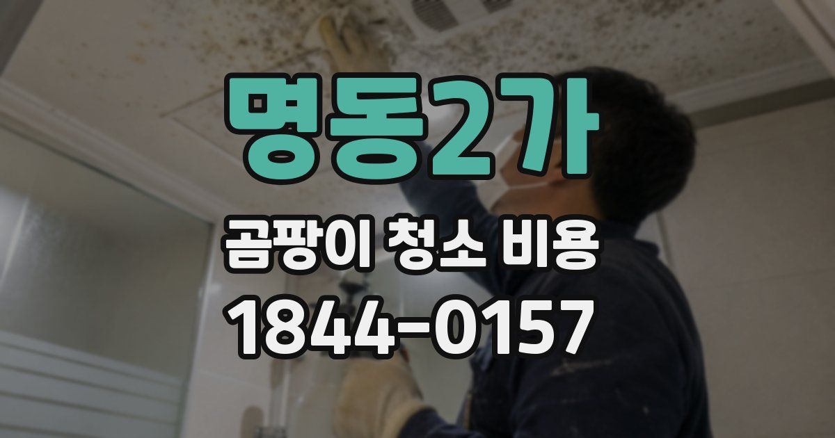 명동2가 곰팡이 청소 비용