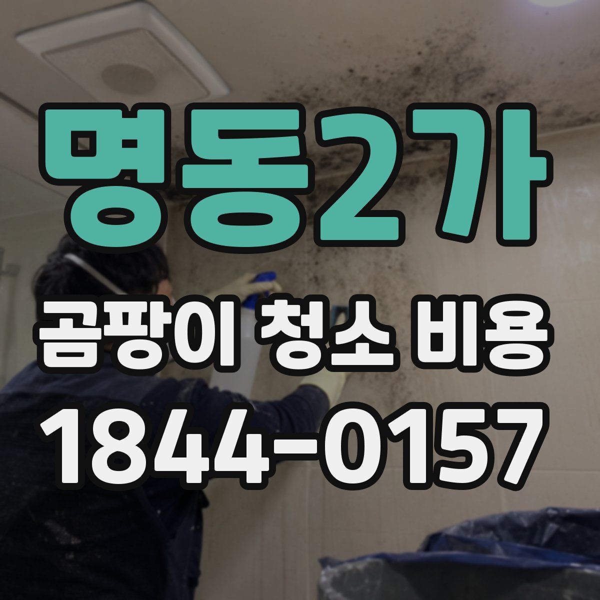 명동2가 곰팡이 청소 비용
