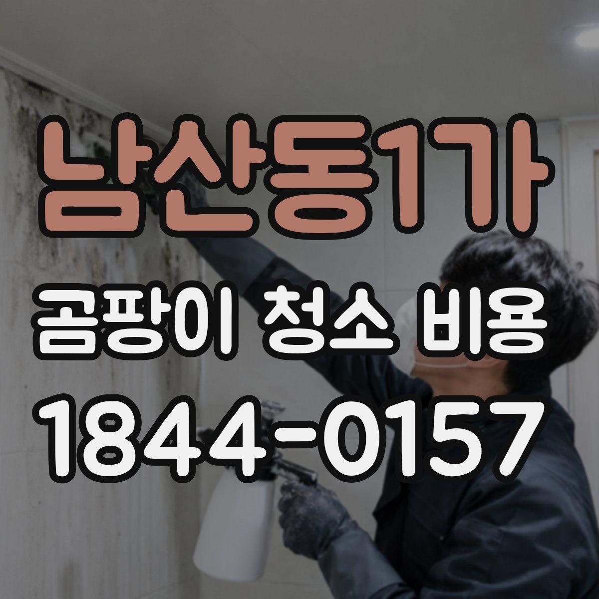 남산동1가 곰팡이 청소 비용
