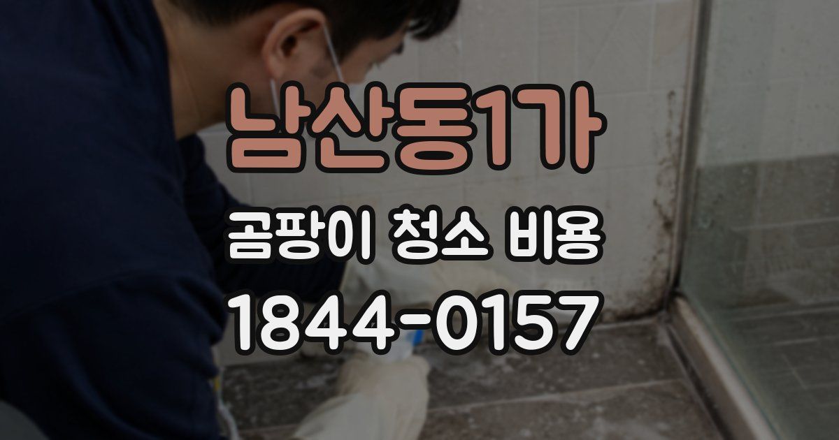 남산동1가 곰팡이 청소 비용