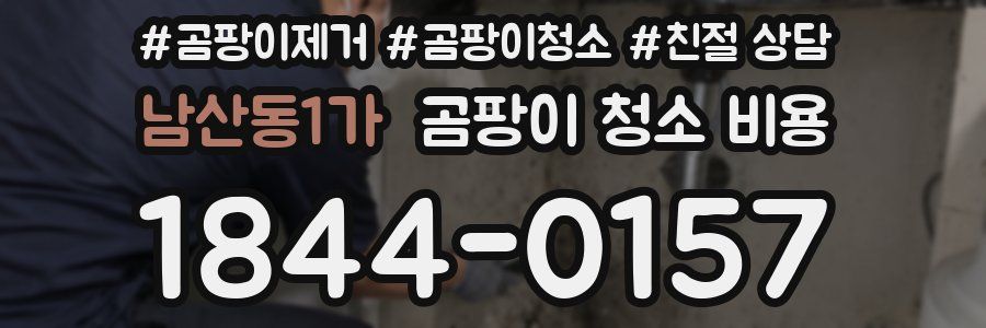 남산동1가 곰팡이 청소 비용