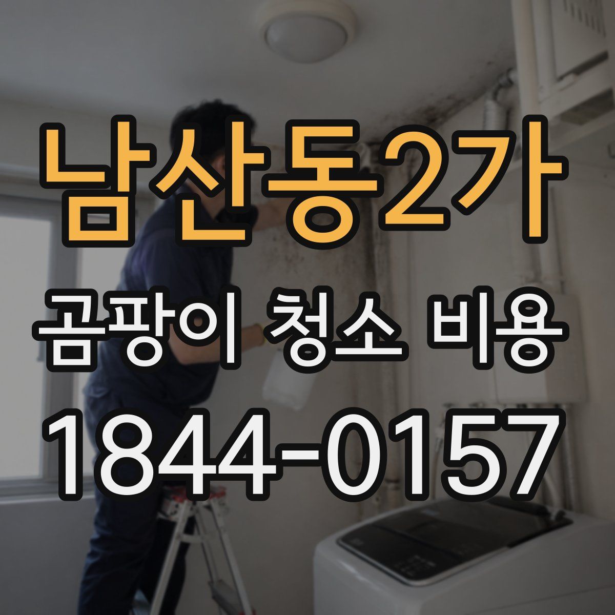 남산동2가 곰팡이 청소 비용
