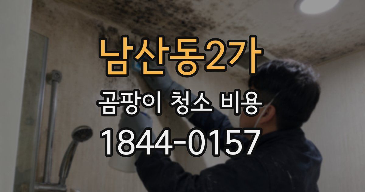 남산동2가 곰팡이 청소 비용