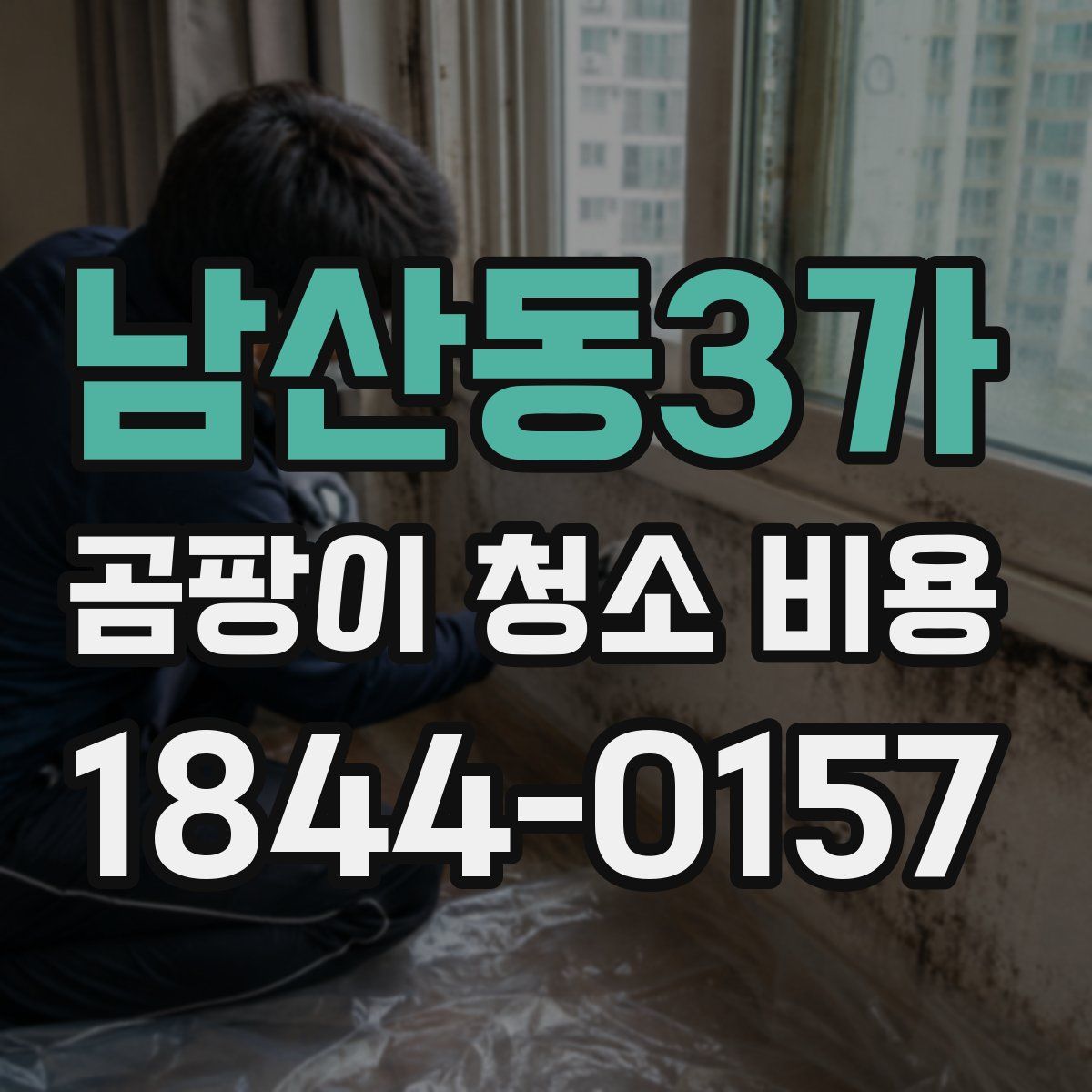 남산동3가 곰팡이 청소 비용
