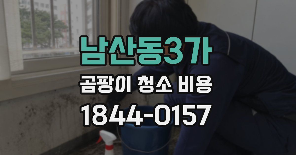 남산동3가 곰팡이 청소 비용