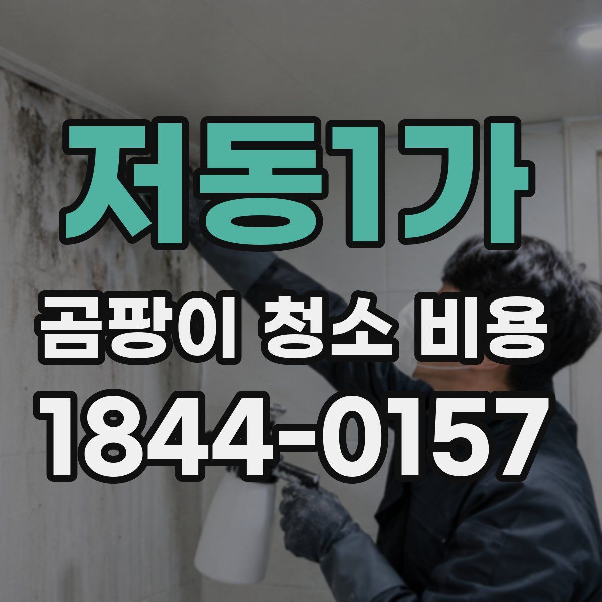 저동1가 곰팡이 청소 비용