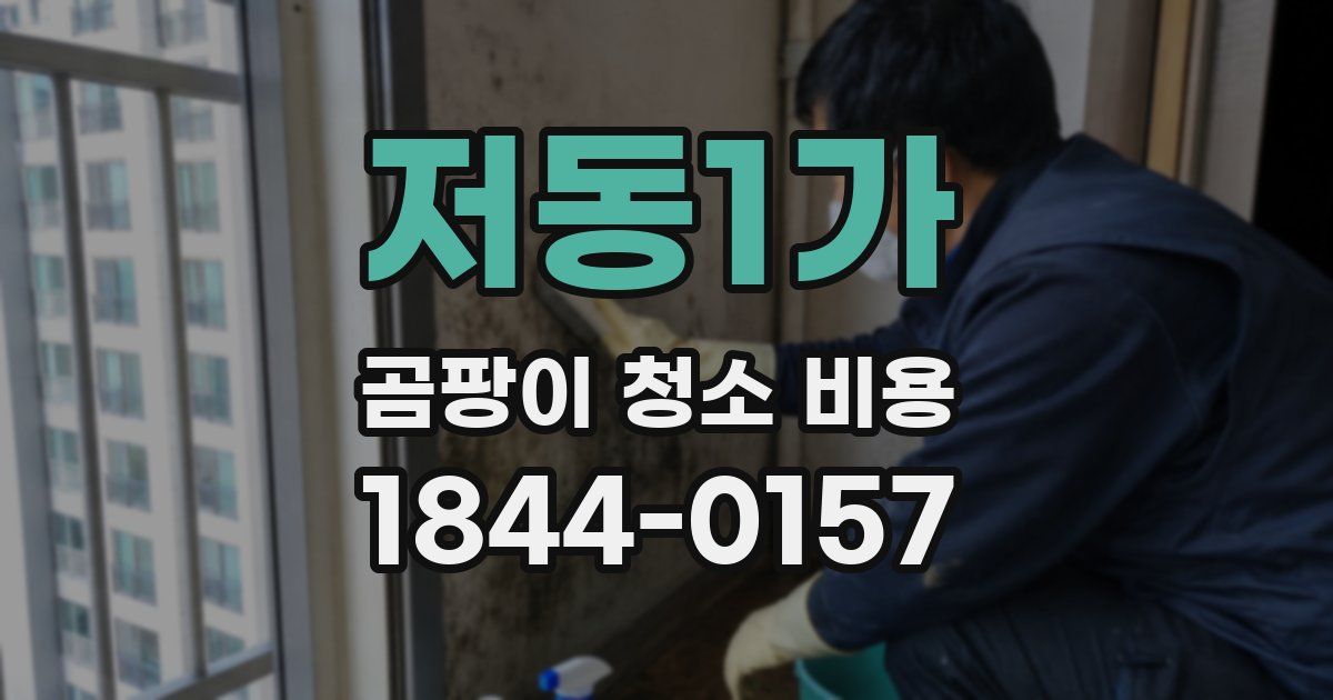 저동1가 곰팡이 청소 비용