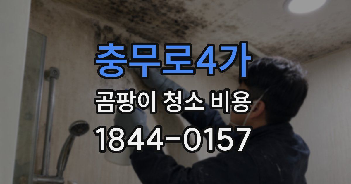 충무로4가 곰팡이 청소 비용