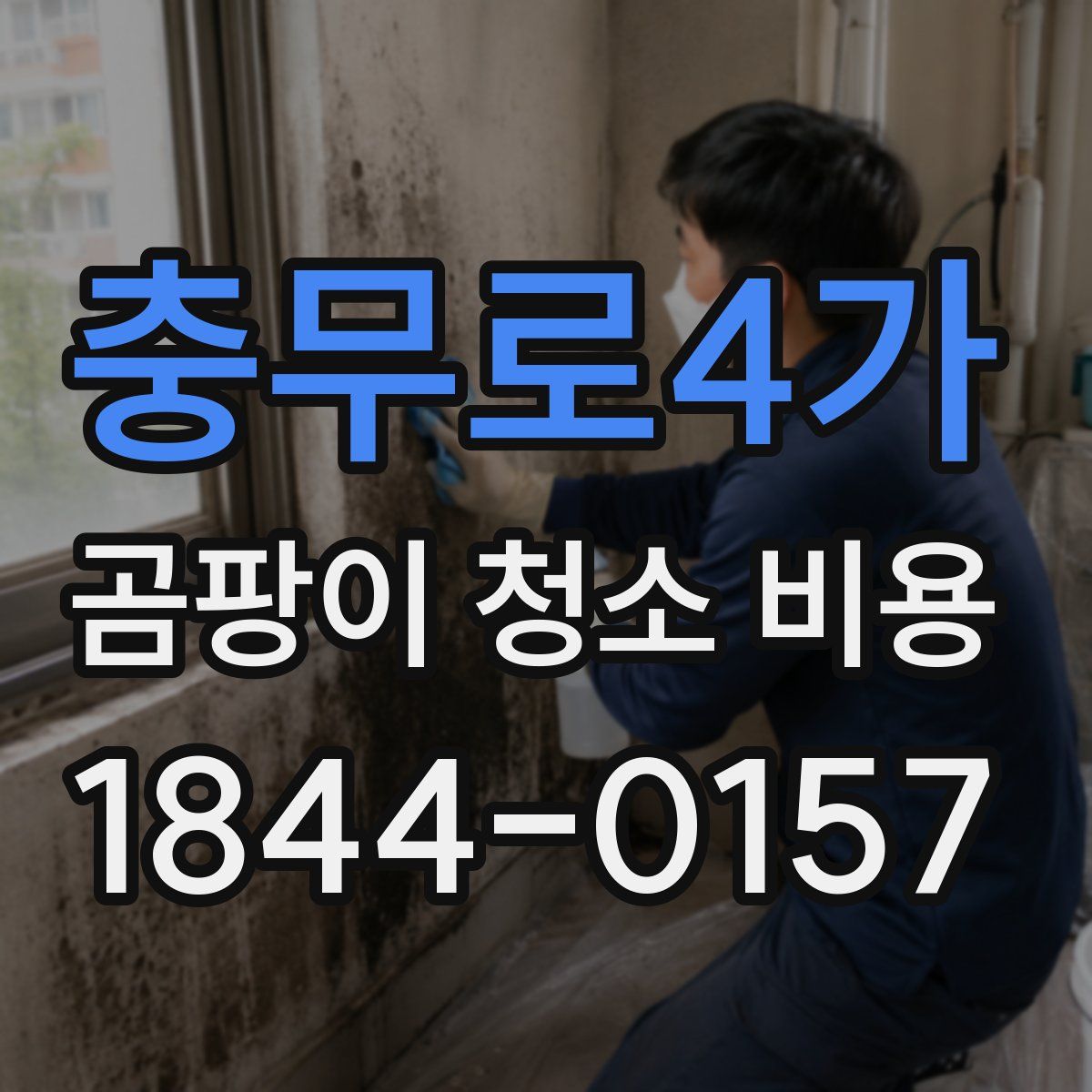 충무로4가 곰팡이 청소 비용