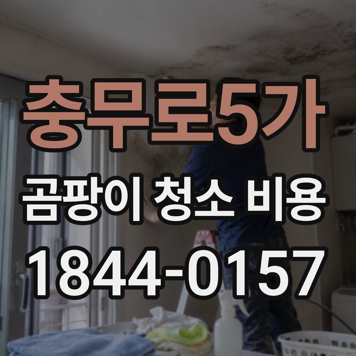 충무로5가 곰팡이 청소 비용 상담 전에 준비할 정보